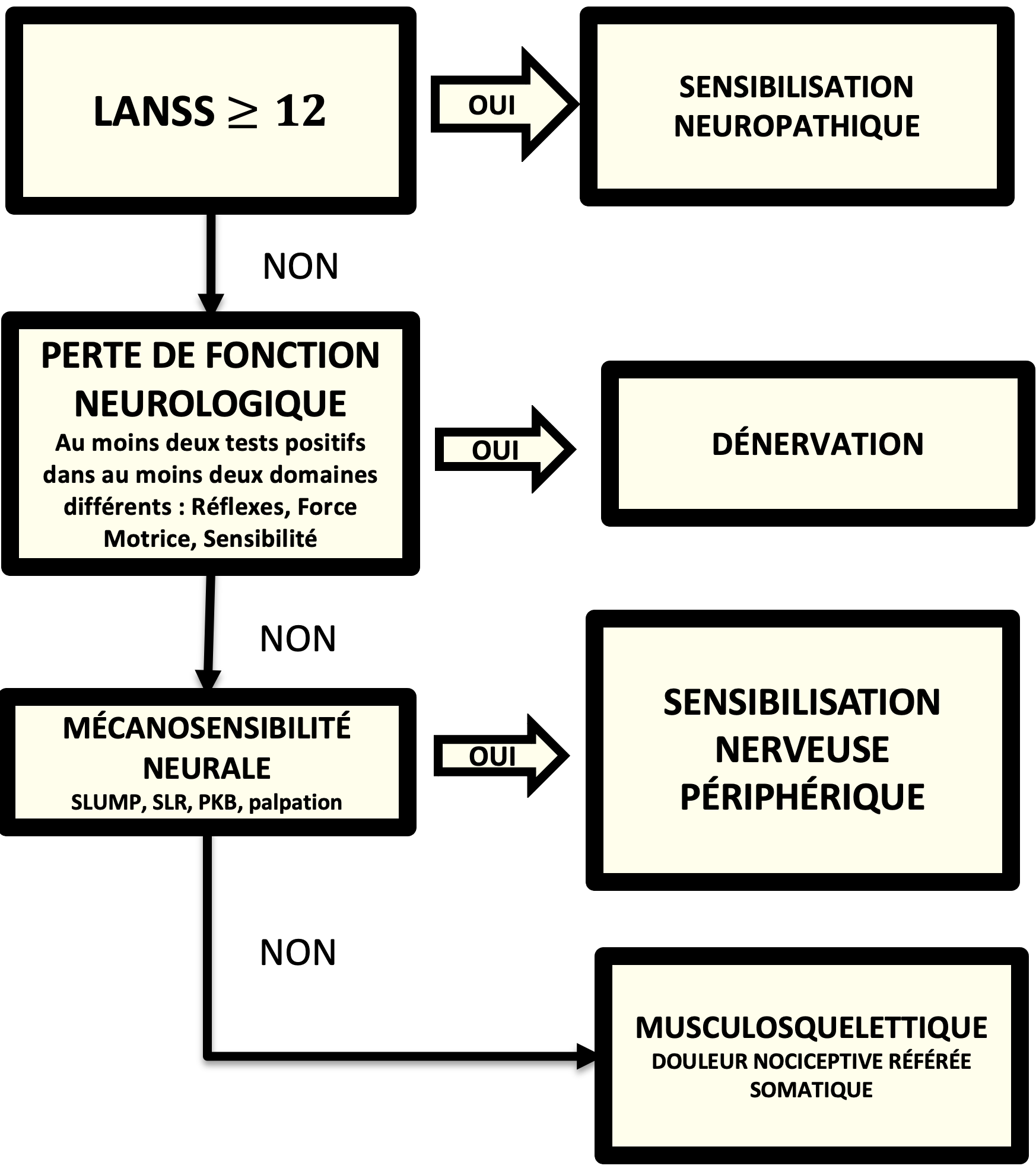 Figure 2: Algorithme de Schafer de discrimination des douleurs neuropathiques
